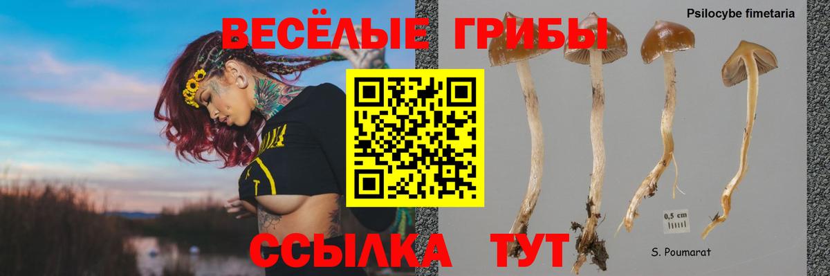 Галлюциногенные грибы GOLDEN TEACHER  Вход с VPN  Электрогорск 